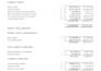 prepare financial statement , pnl, balance sheet, cash flow, management accounts